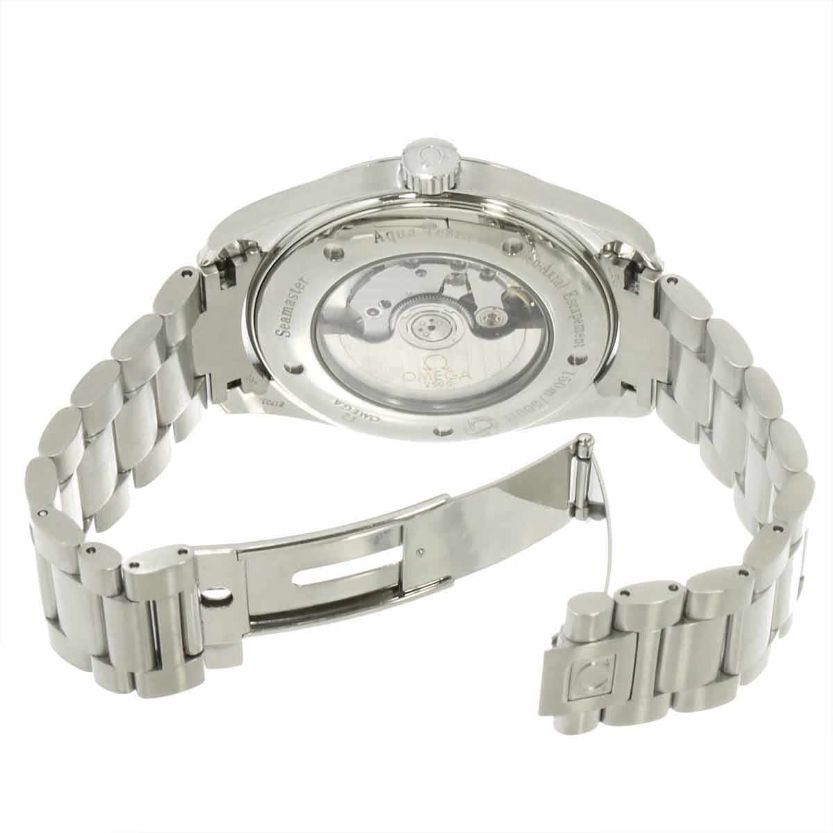 Seamaster Aqua Terra 2502.33 Automatic Silver Dial Mens Watch