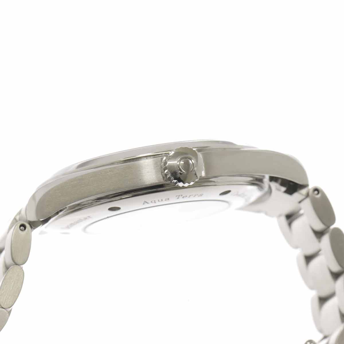 Seamaster Aqua Terra 2502.33 Automatic Silver Dial Mens Watch