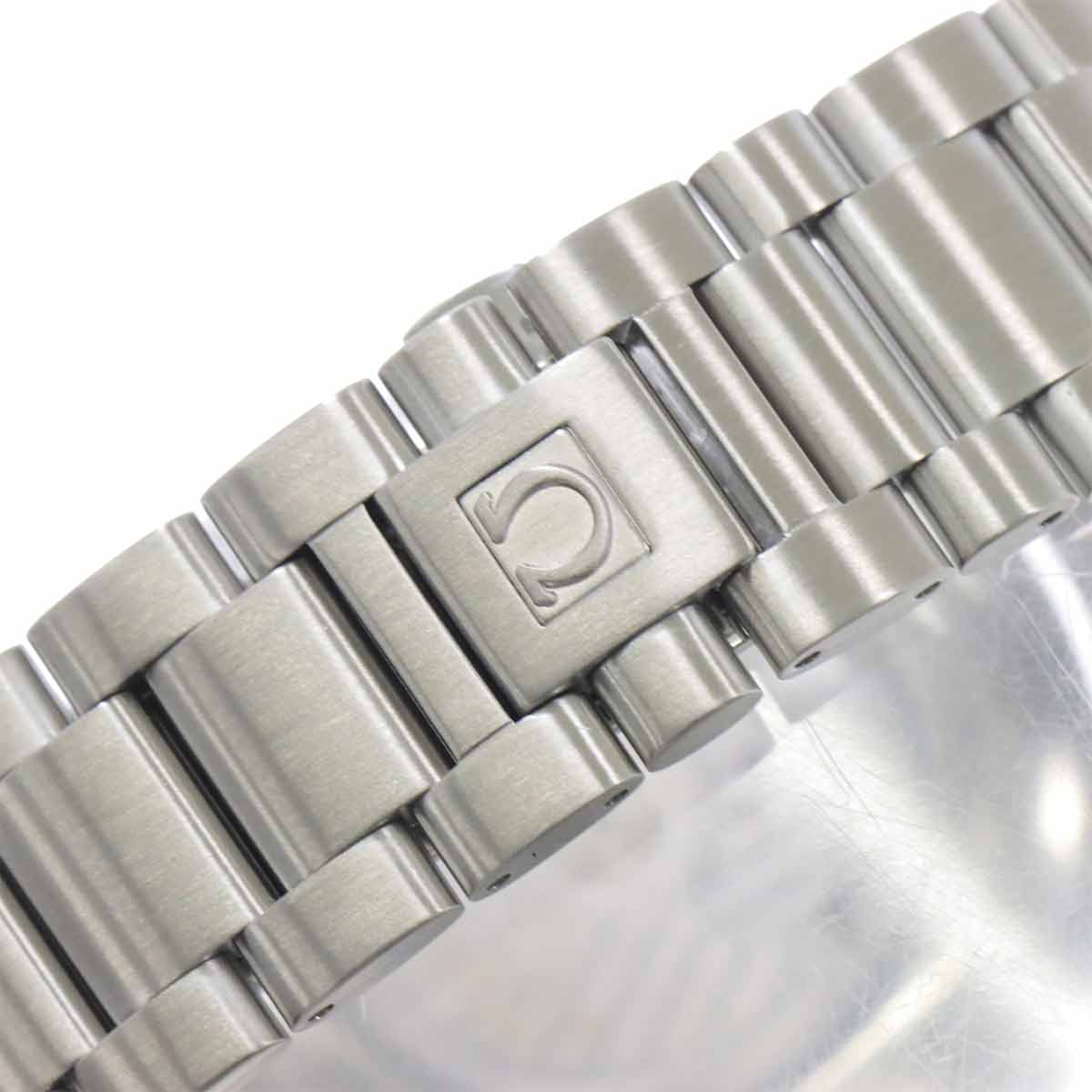 Seamaster Aqua Terra 2502.33 Automatic Silver Dial Mens Watch