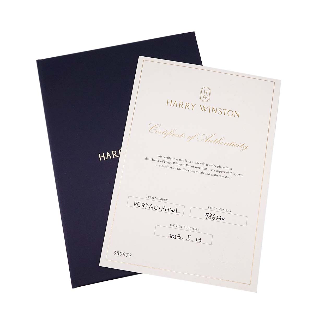 HW Logo Ruby Diamond Necklace Pt