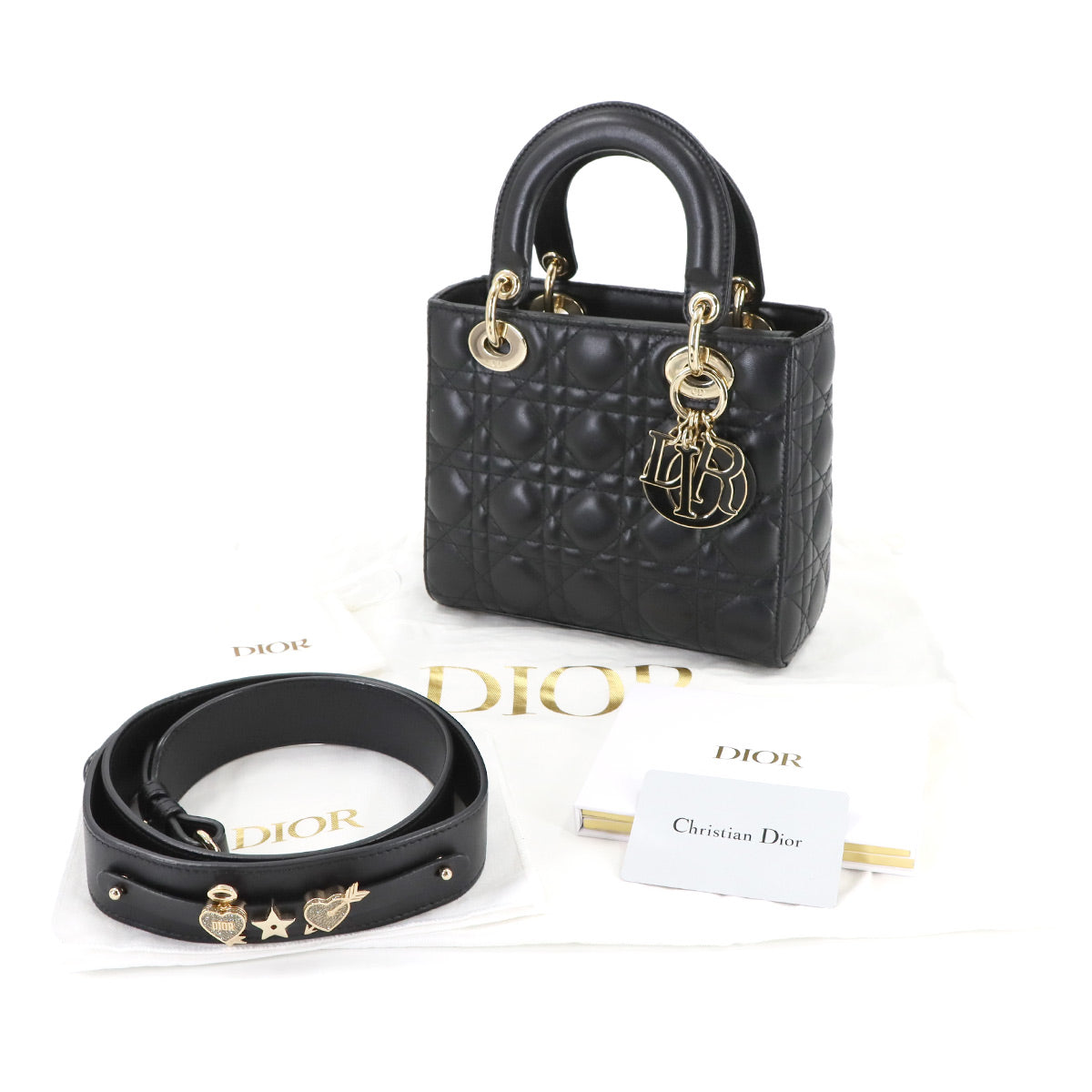 Lady Dior My ABCDior Small Hand Shoulder Bag Leather