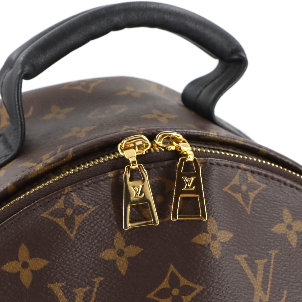 Monogram Palm Springs MM Backpack Brown Black M44874