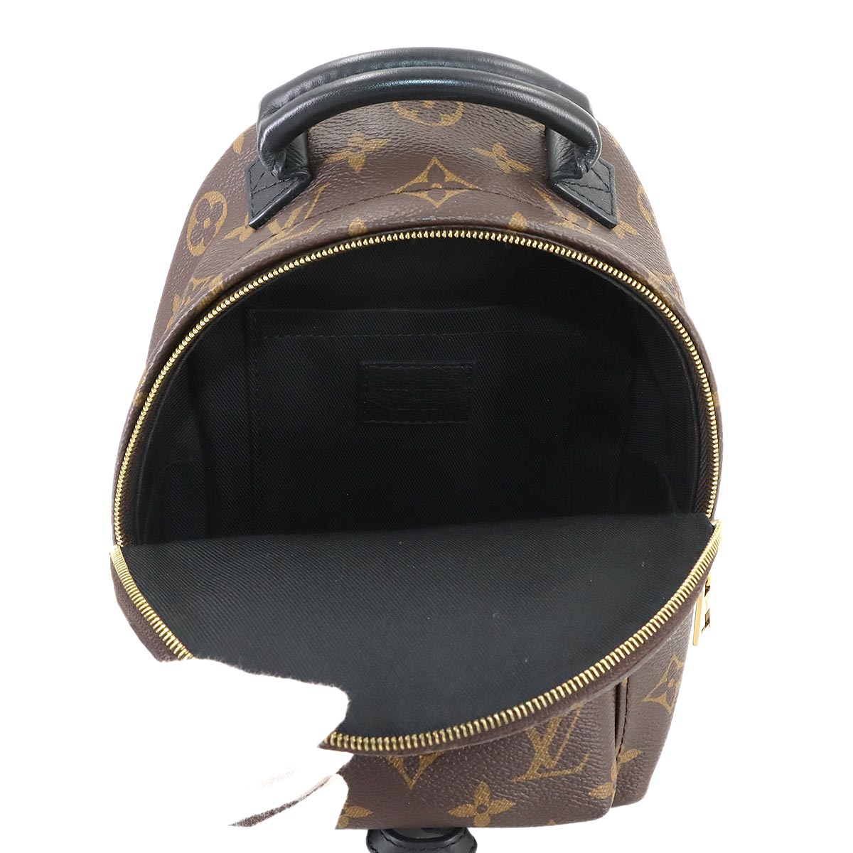 Monogram Palm Springs Backpack Mini M44873 Brown Purse