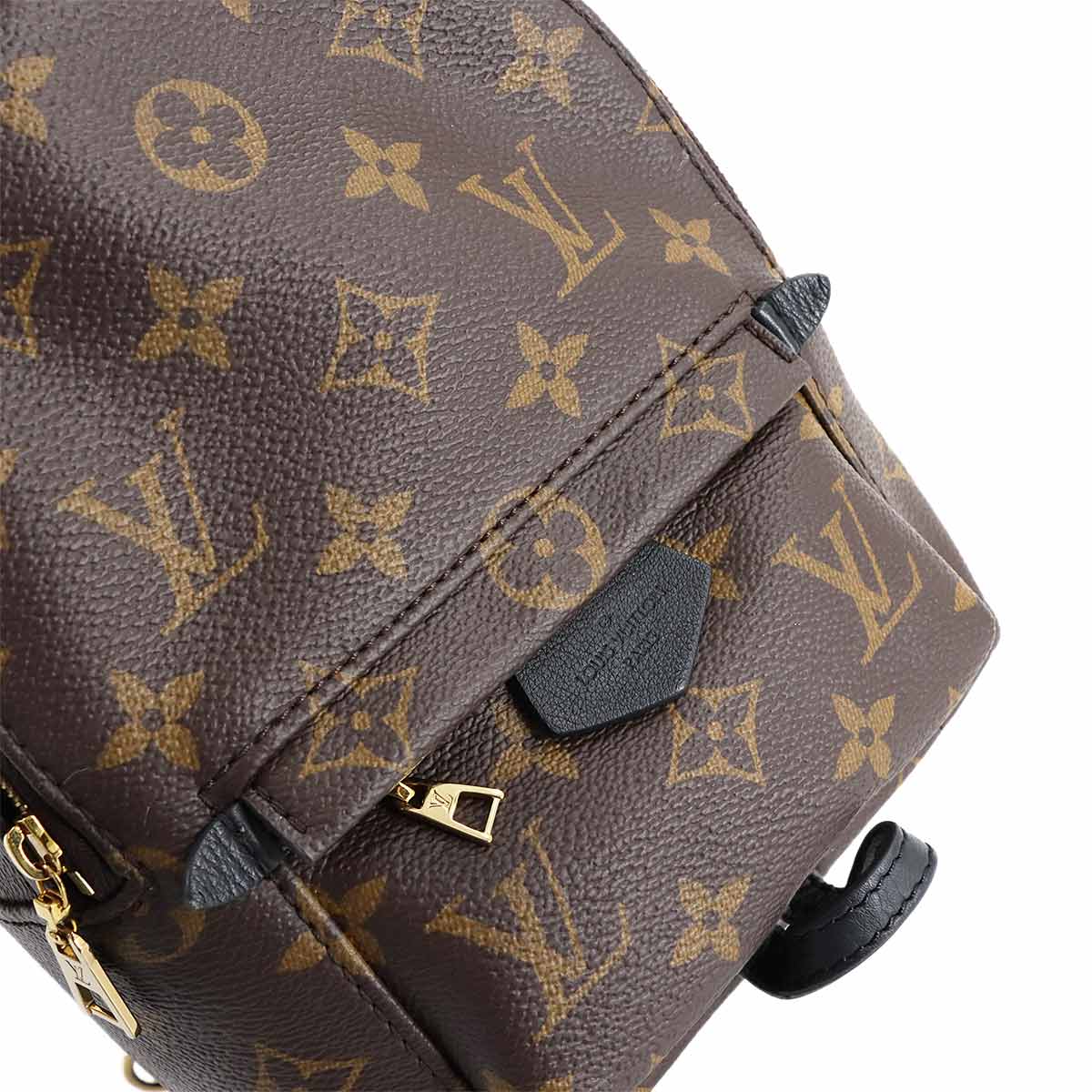 Monogram Palm Springs Backpack Mini M44873 Brown Purse