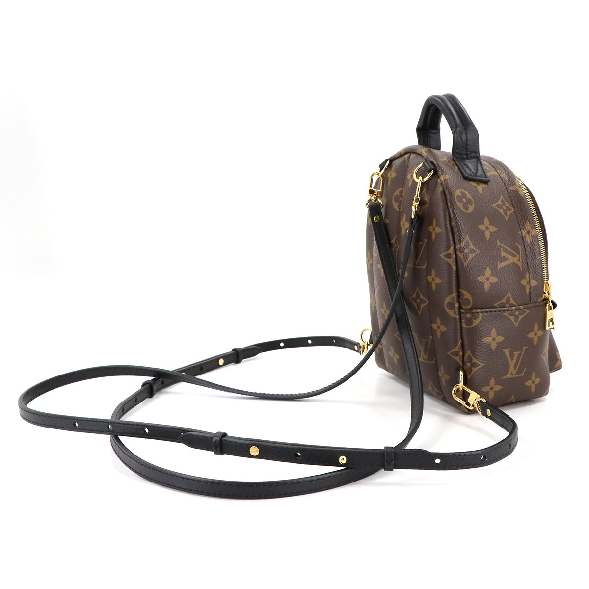 Monogram Palm Springs Backpack Mini M44873 Brown Purse