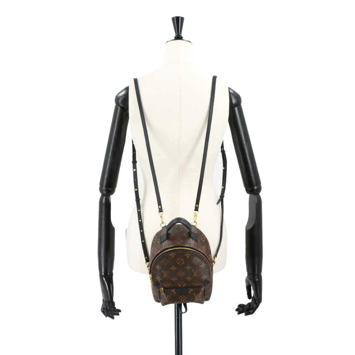 Monogram Palm Springs Backpack Mini M44873 Brown Purse