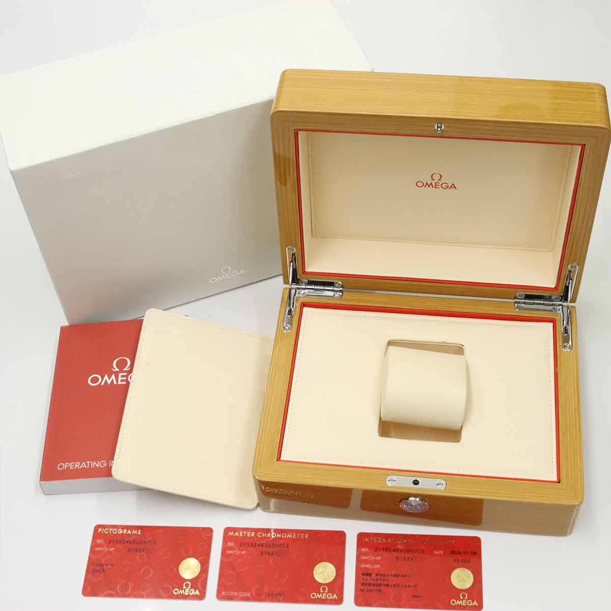 Seamaster Planet Ocean 600M GMT 215 92 46 22 01 002 Black Dial