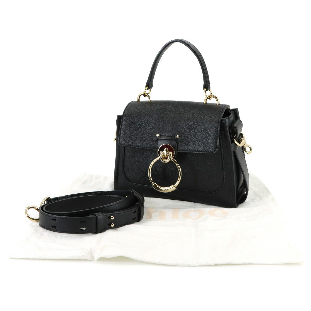 Tess Mini Day 2way Hand Shoulder Bag Leather Black CHC22SS143G33