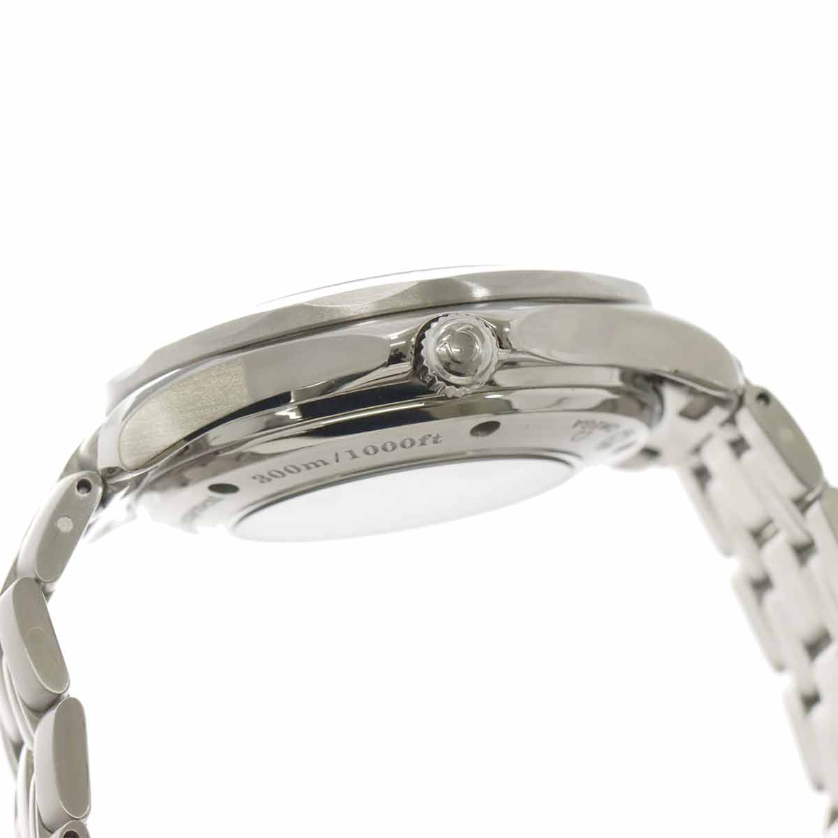 Seamaster 300 GMT Professional Co-Axial 2535 80 Navy Dial Mens