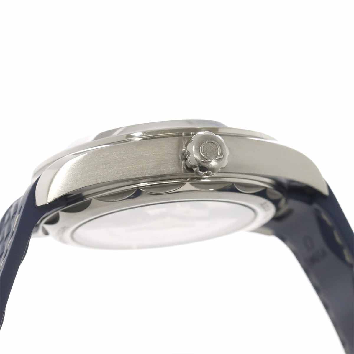 Seamaster Aqua terra GMT 220 10 43 22 03 001 Automatic Mens