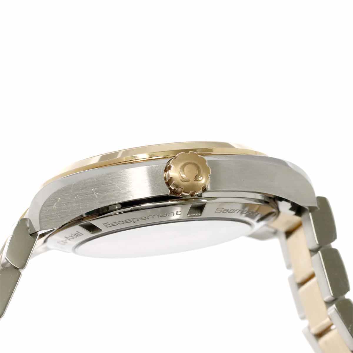 Seamaster Aqua Terra Co-axial 231 20 39 21 06 001 750 PG Mens