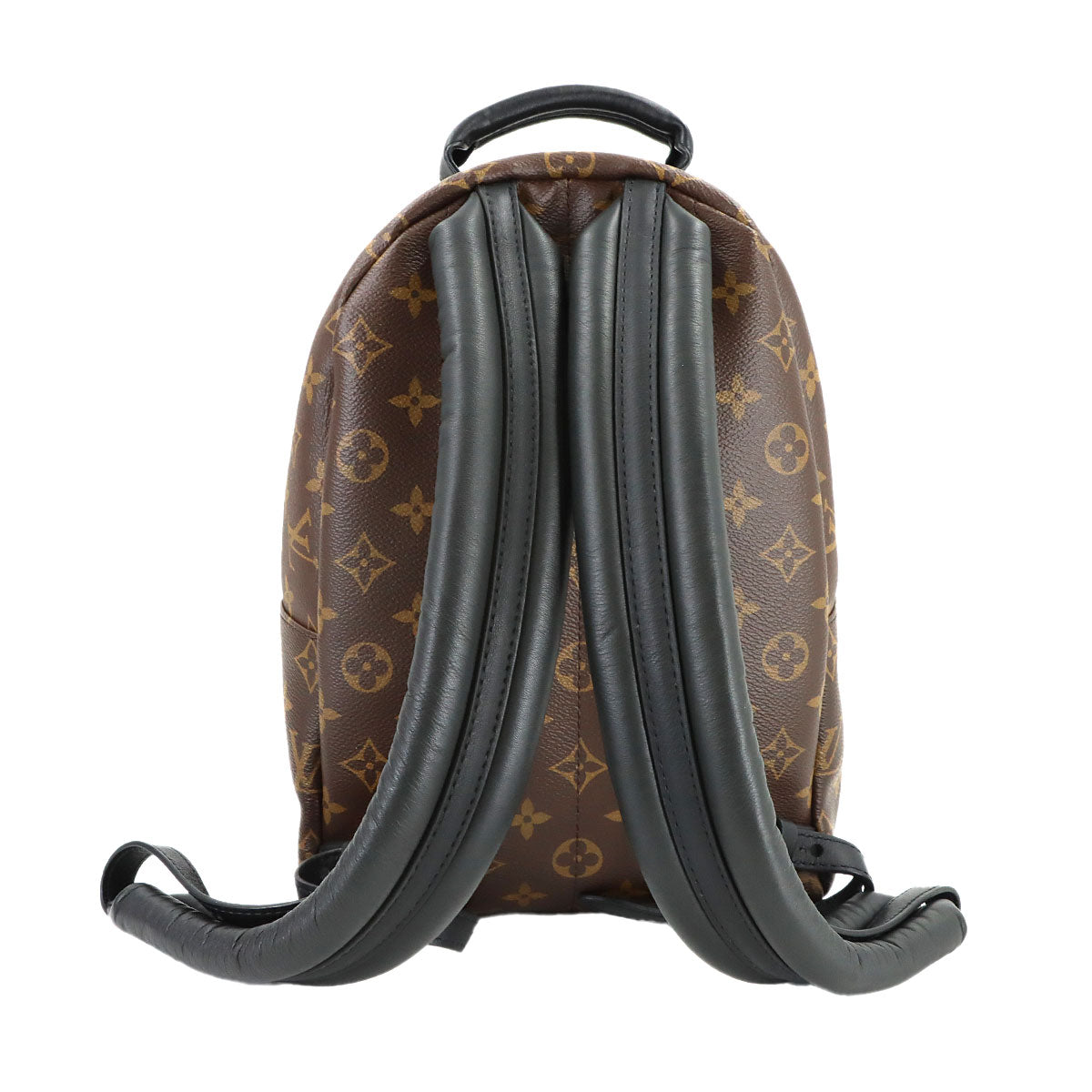 Monogram Palm Springs Backpack PM Leather Brown M44871