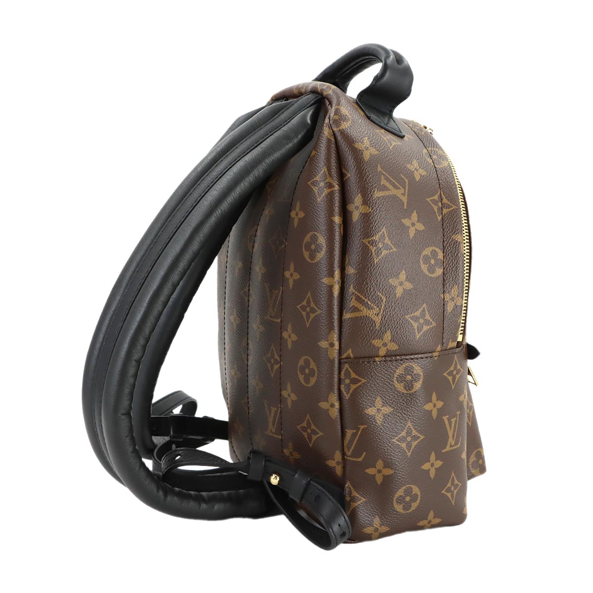 Monogram Palm Springs Backpack PM Leather Brown M44871