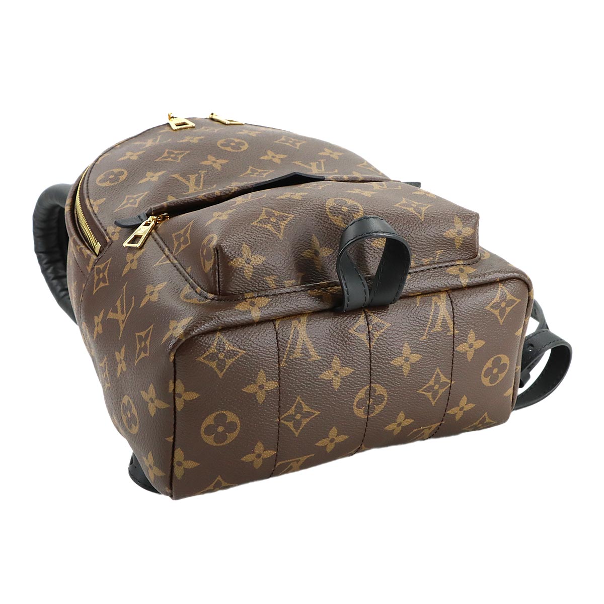 Monogram Palm Springs Backpack PM Leather Brown M44871