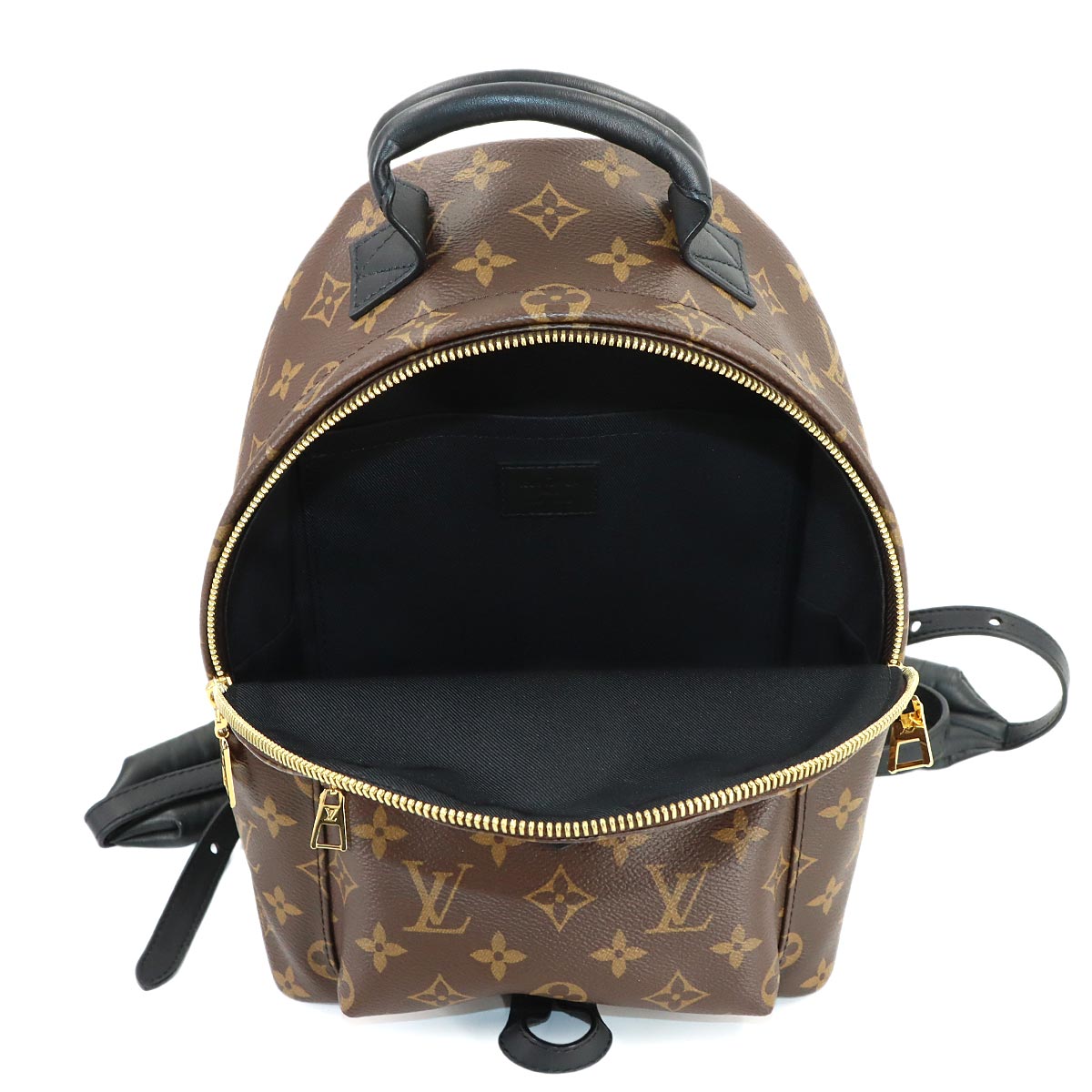 Monogram Palm Springs Backpack PM Leather Brown M44871