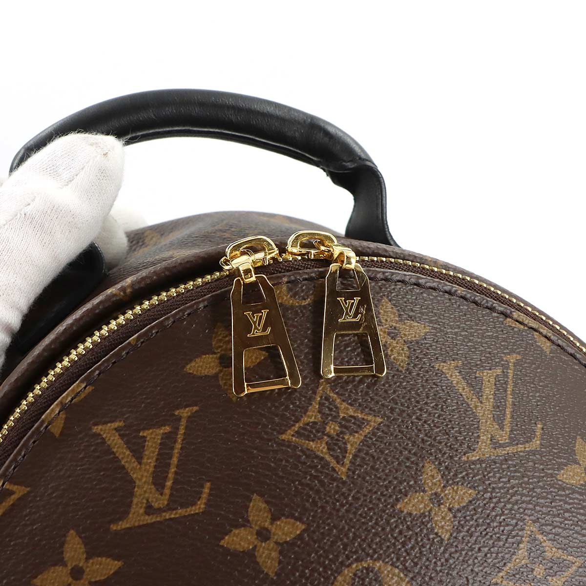 Monogram Palm Springs Backpack PM Leather Brown M44871