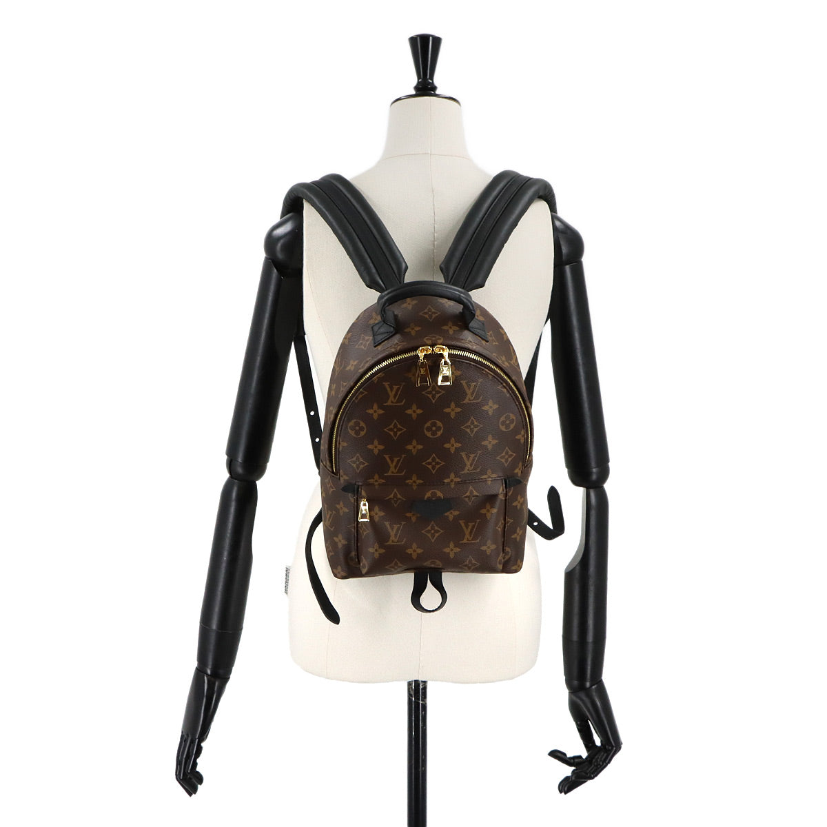 Monogram Palm Springs Backpack PM Leather Brown M44871