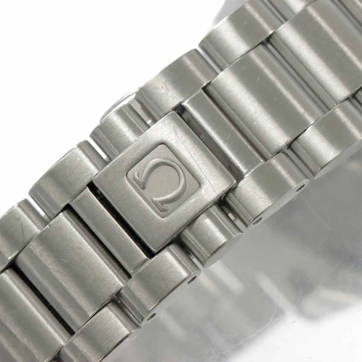 Seamaster Aqua Terra 2517.30 Date Quartz Silver Dial Mens Watch