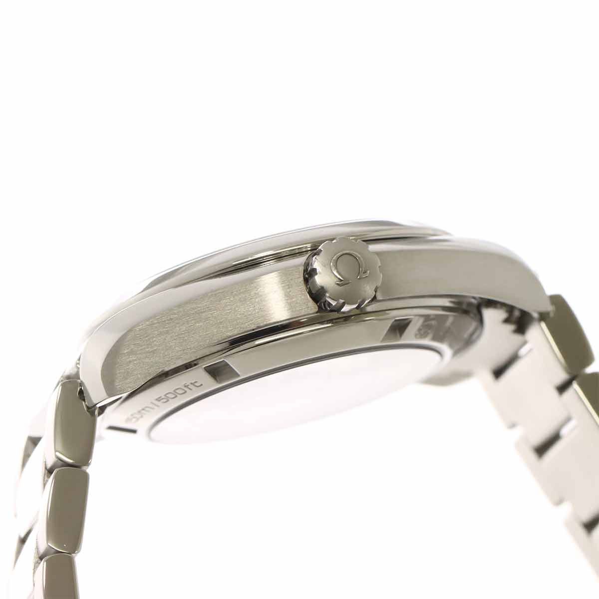 Seamaster Aqua Terra 231 13 39 21 01 001 Automatic Date Mens