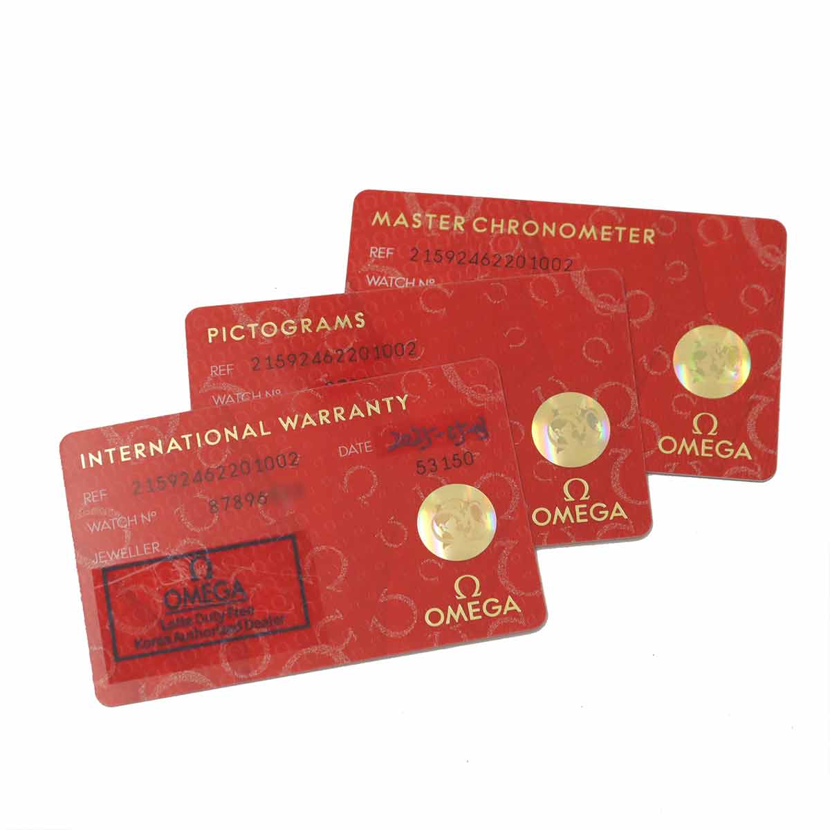 Seamaster Planet Ocean 600M GMT 215 92 46 22 01 002 Black Dial