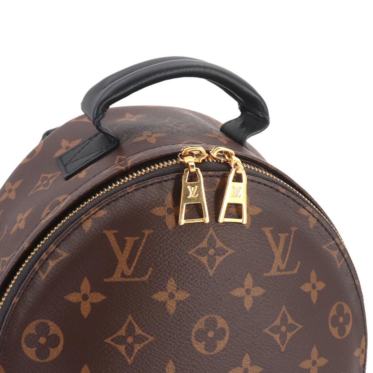 Monogram Reverse Palm Springs Backpack PM M44870 Brown
