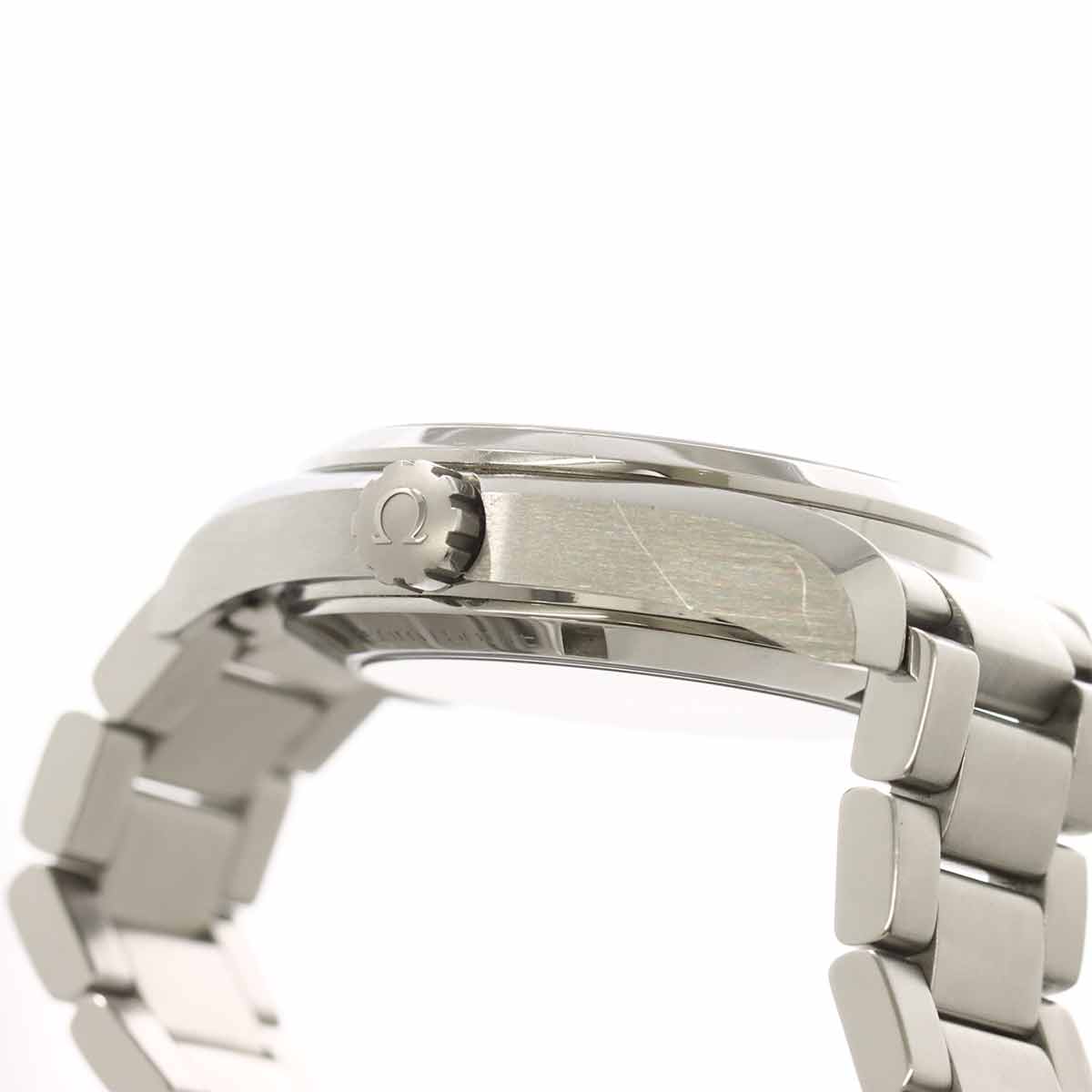Seamaster Aqua Terra Co-Axial 231 10 39 21 55 001 11P Diamond