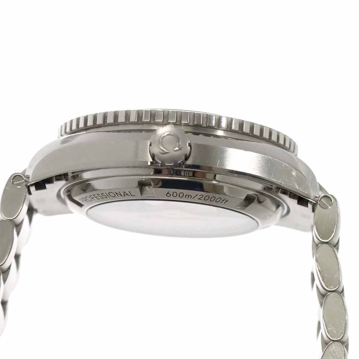 Seamaster Planet Ocean 600M 232 30 42 21 01 002 Black Dial