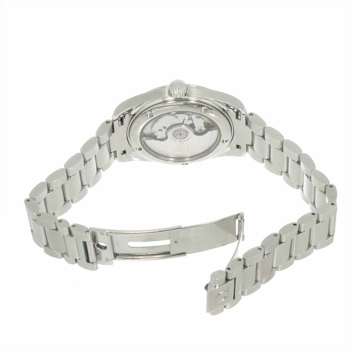Seamaster Aqua Terra CO-AXIAL 2504 30 Automatic Mens Watch