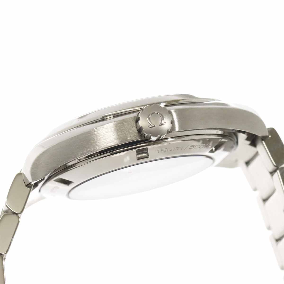Seamaster Aqua Terra Co-Axial 231 10 42 21 01 002 Black Dial