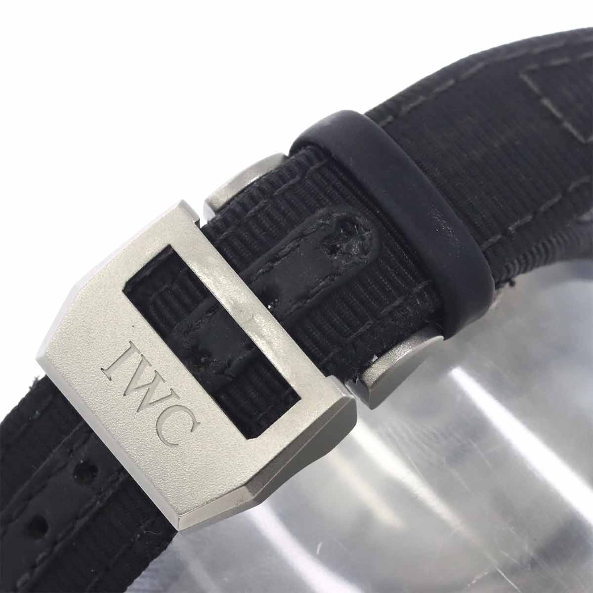 Pilot Watch Top Gun IW389101 Automatic Black Dial Mens Watch