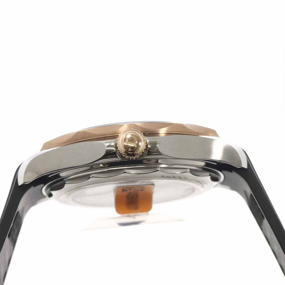 Seamaster Diver300 Co-axial 210 22 42 20 01 002 Automatic