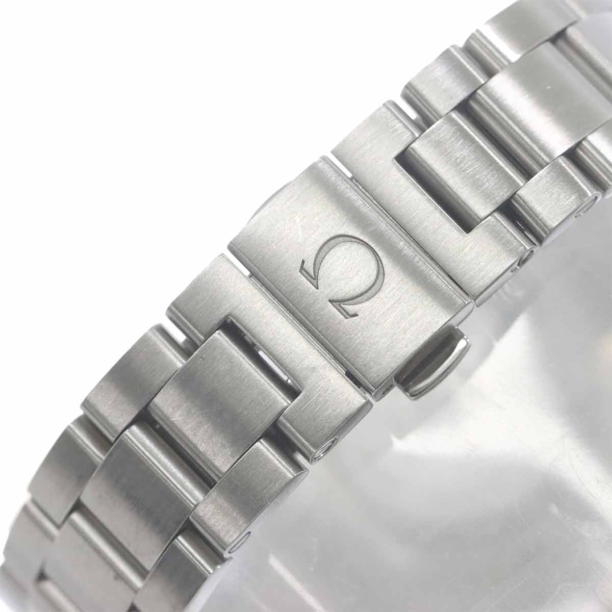 Seamaster Aqua Terra 231.25.34.20.55.003 Automatic PG Ladies