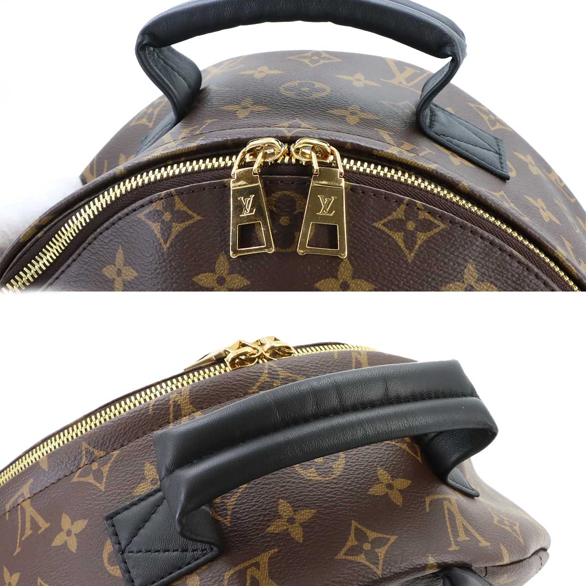 Monogram Palm Springs MM Backpack Brown Black M44874