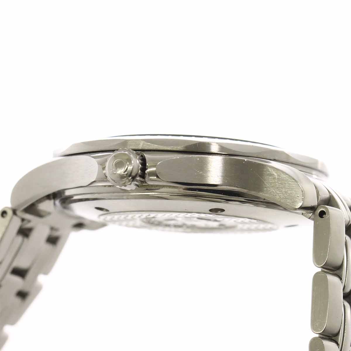 Seamaster Professional 300m 2531 80 Automatic Mens Watch