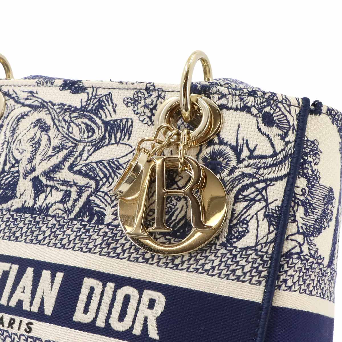 LADY D-LITE Hand Shoulder Bag Canvas White Blue