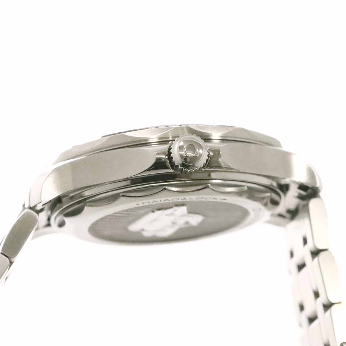 Seamaster Diver 300 Co-Axial 210 30 42 20 01 002 Automatic