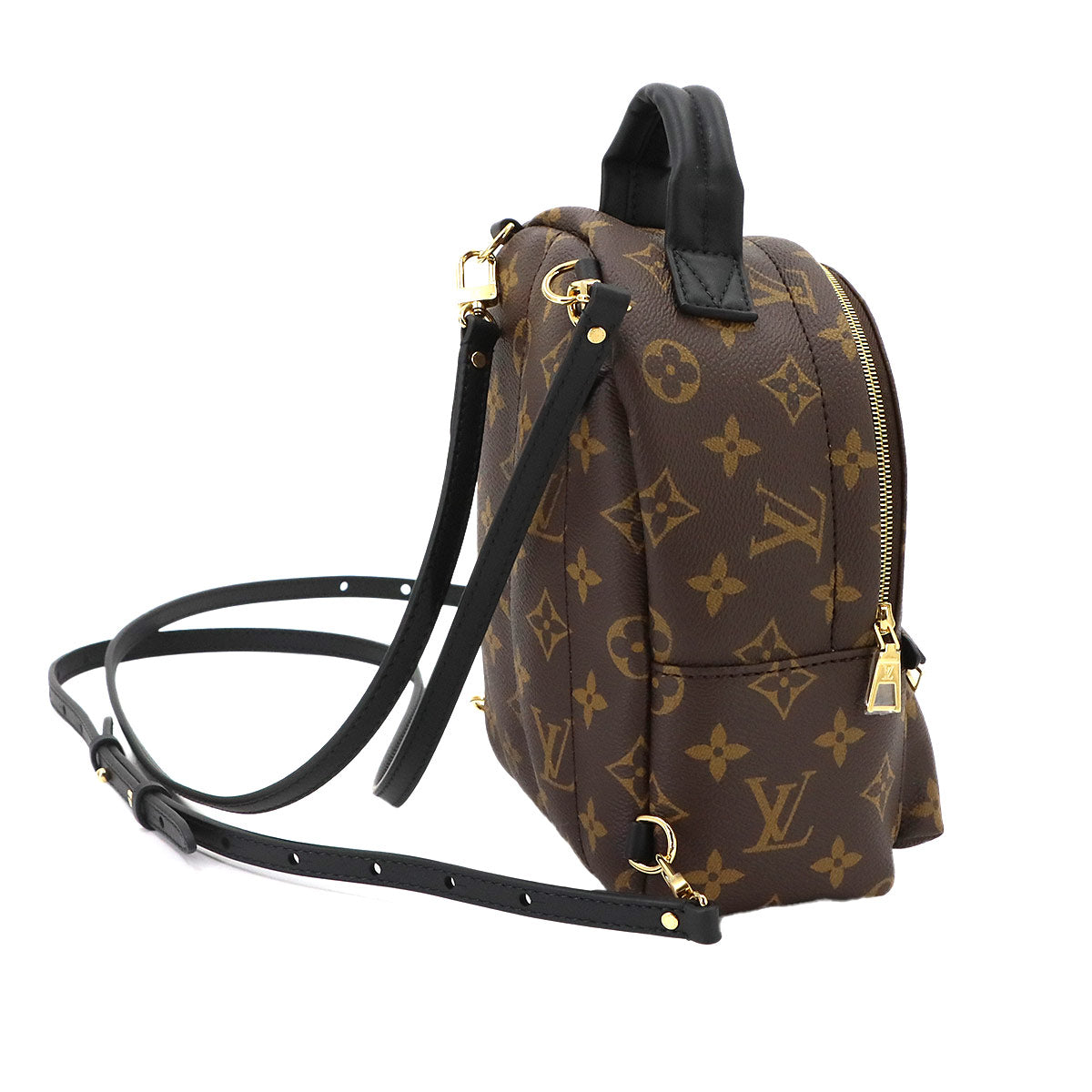 Monogram Palm Springs Backpack Mini M44873 Brown Purse