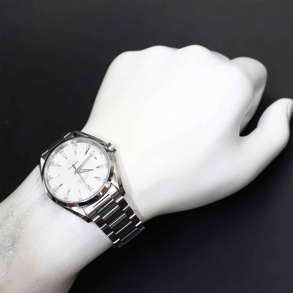 Seamaster Aqua Terra Co-Axial 231.10.42.21.02.003 Silver Dial