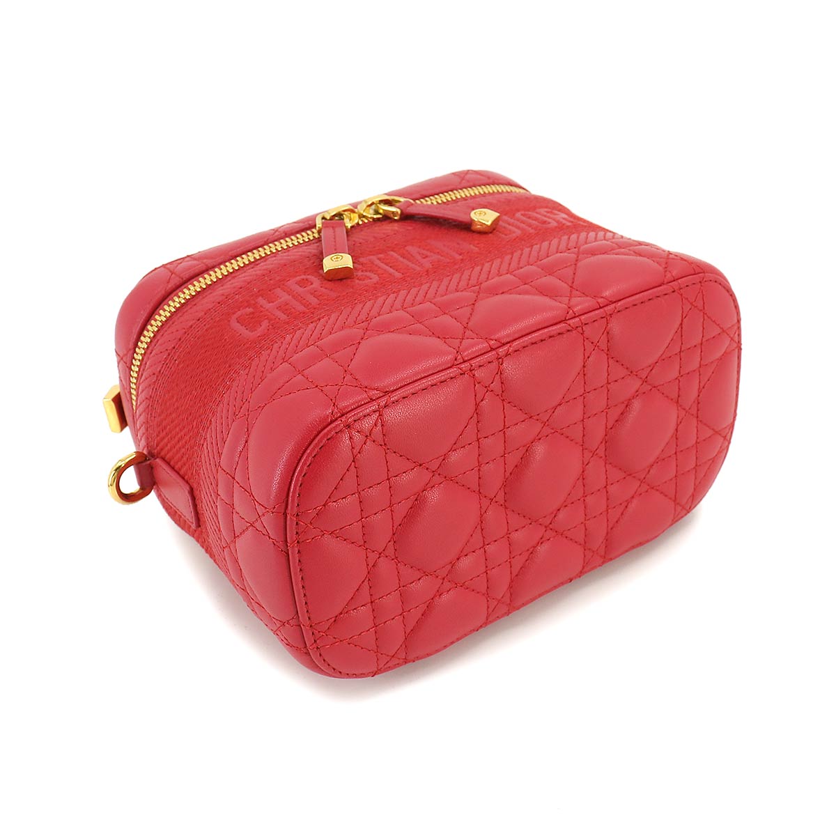 DIORTRAVEL Small Vanity 2way Hand Shouler Bag Leather