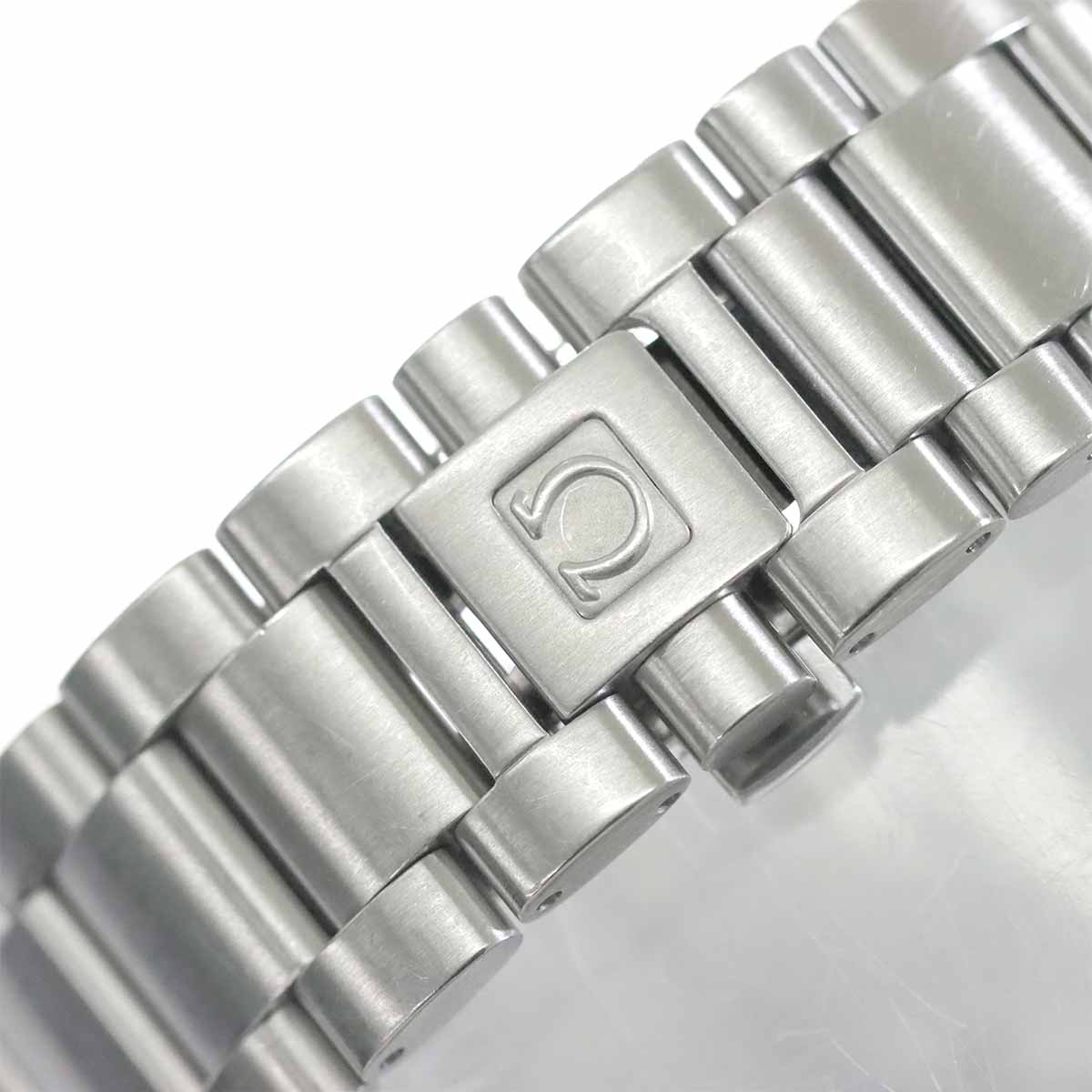 Seamaster Aqua Terra NZL-32 2513 30 Automatic Mens Watch