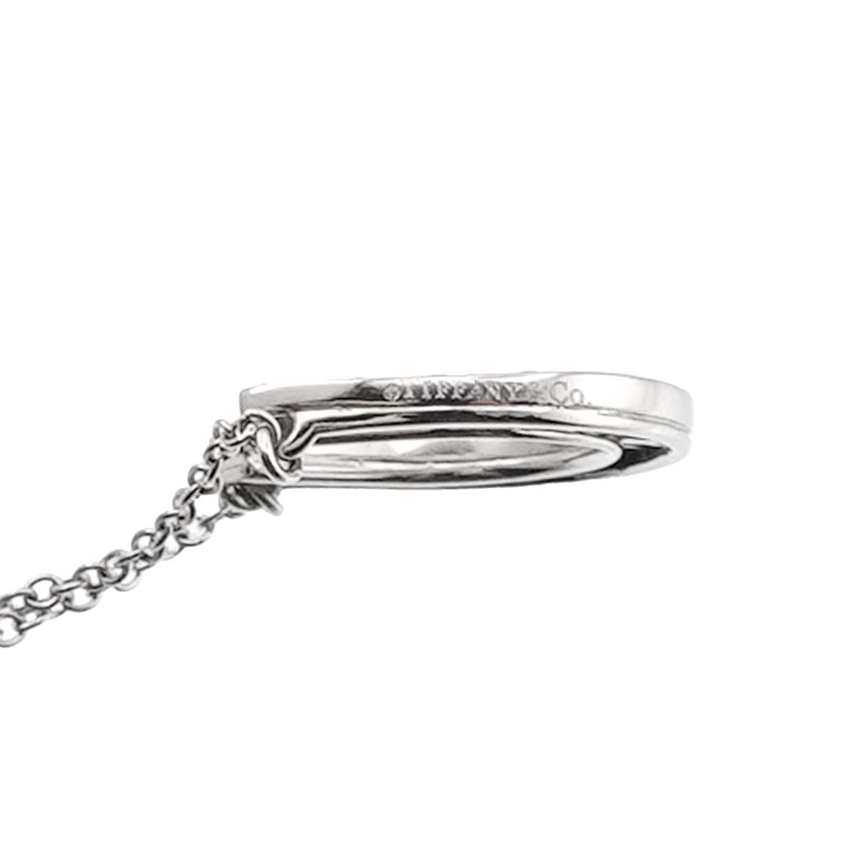 Horseshoe Diamond Necklace Platinum