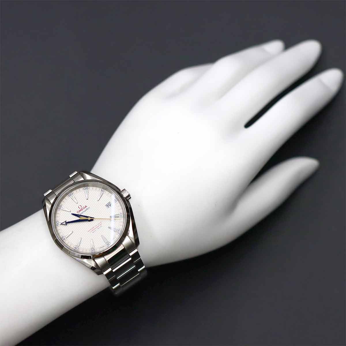 Seamaster Aqua Terra Co-Axial 231.10.42.21.02.004 Silver Dial