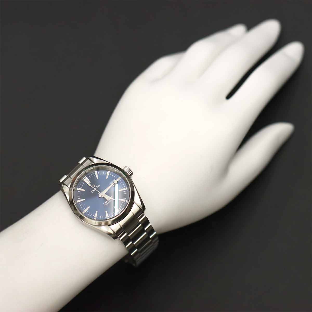Seamaster Aqua Terra 2518.80 Quartz Blue Dial Men Watch