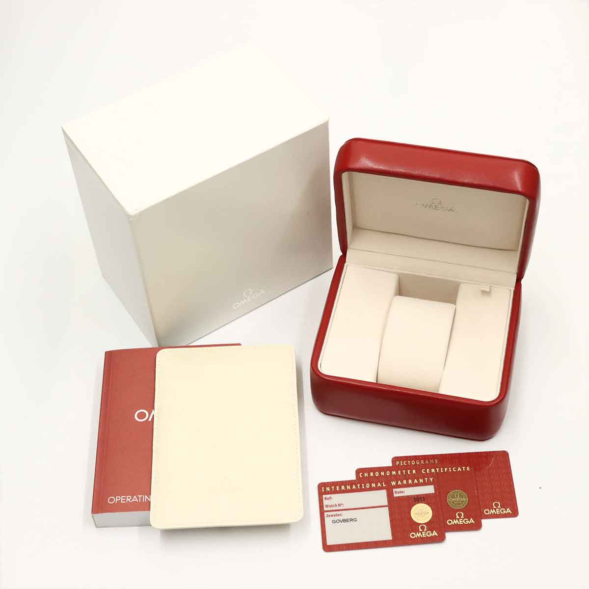 Seamaster Aqua Terra Co-Axial 231.10.42.21.02.001 Silver Dial