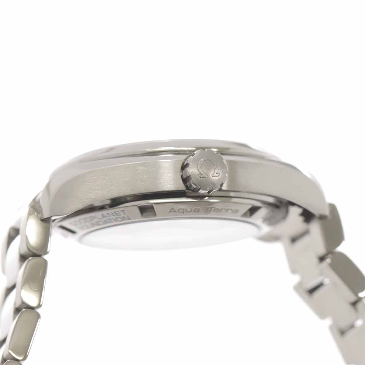 Seamaster Aqua Terra 231 90 39 21 04 001 Automatic White Dial