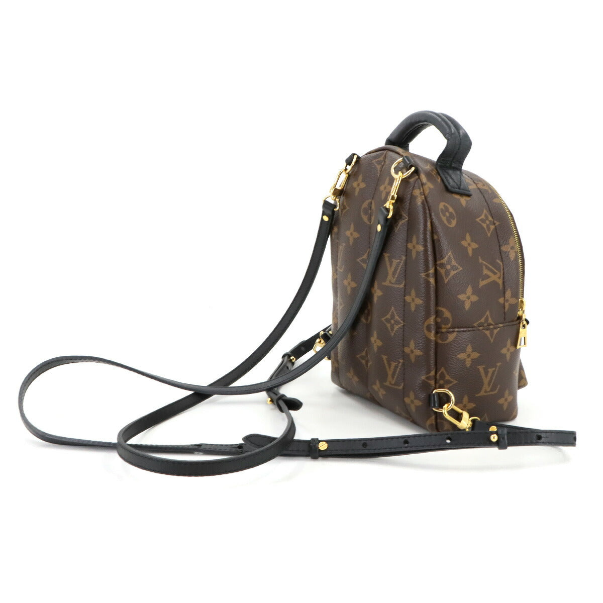 Monogram Palm Springs Backpack Mini M44873 Brown Purse