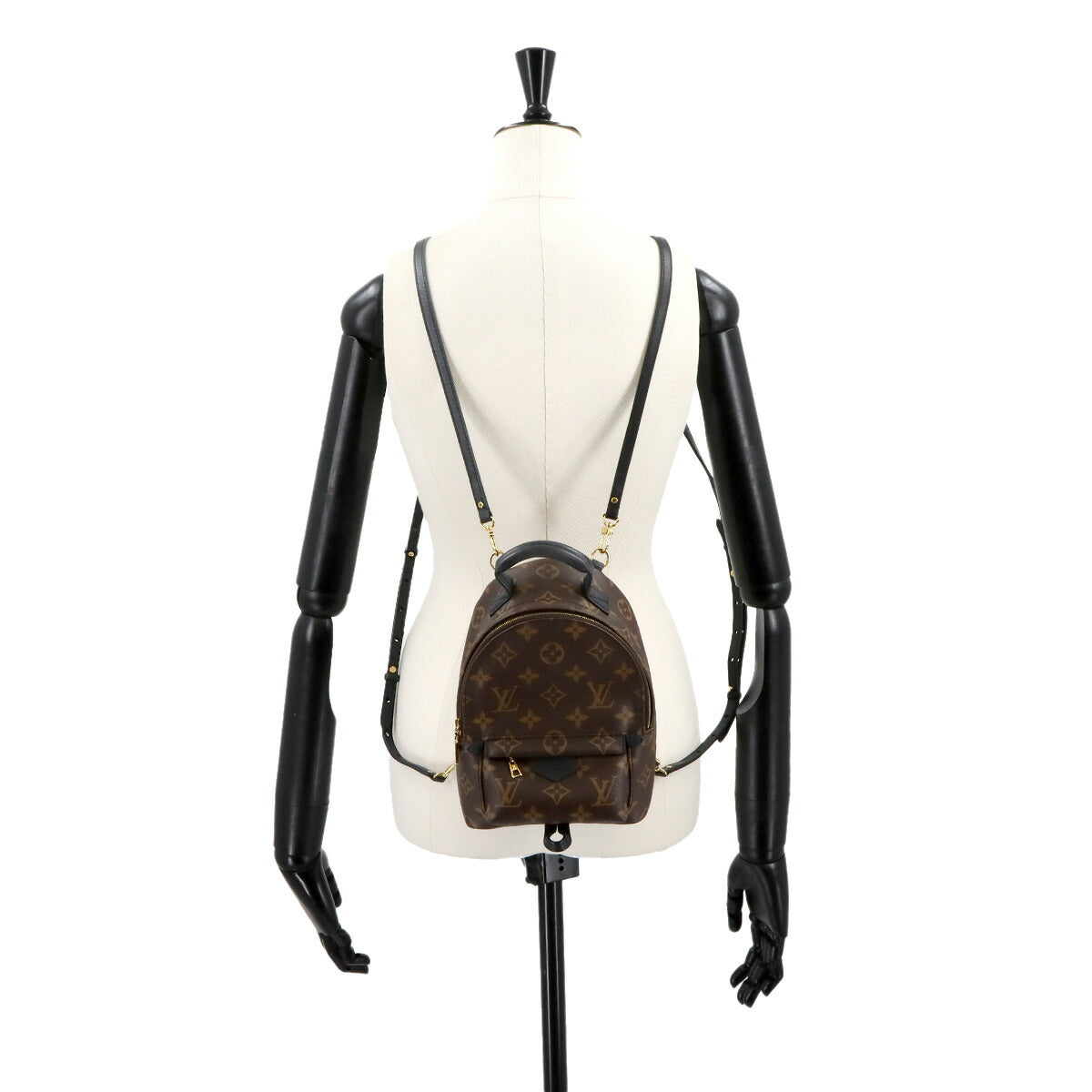 Monogram Palm Springs Backpack Mini M44873 Brown Purse