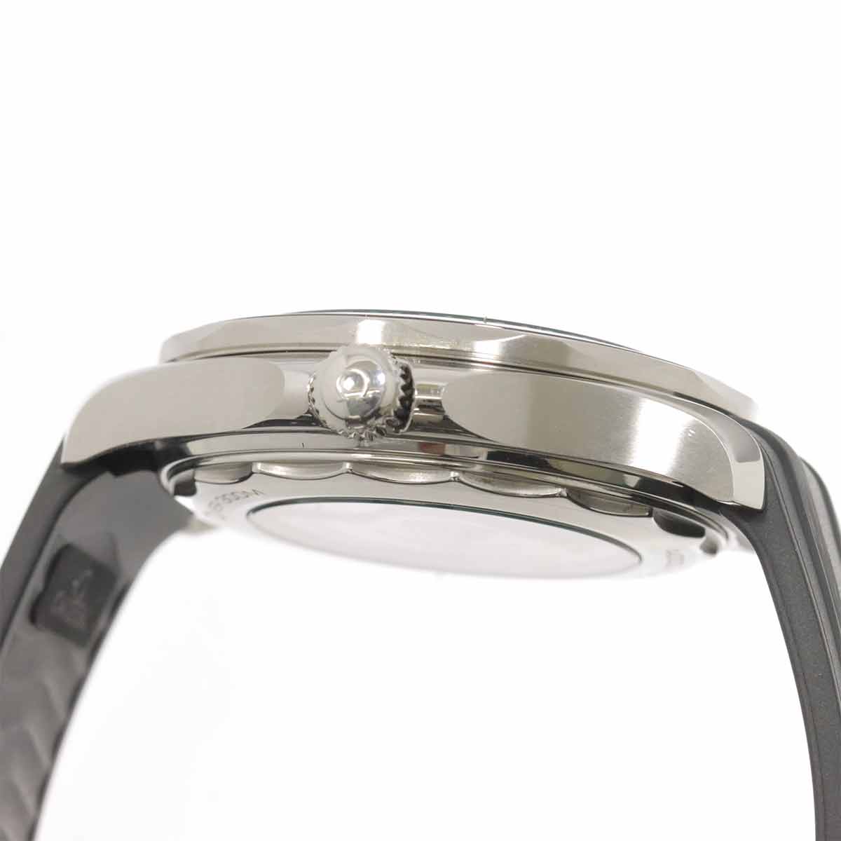 Seamaster 300 210 32 42 20 01 001 CO-AXIAL Date Black Dial