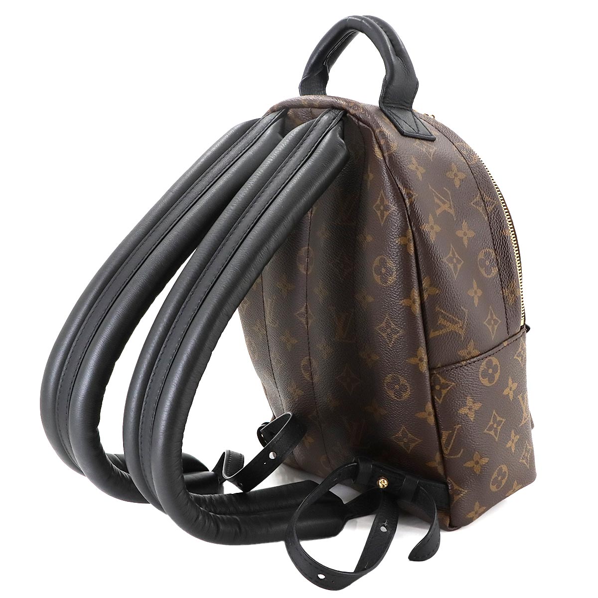 Monogram Palm Springs Backpack PM Leather Brown M44871