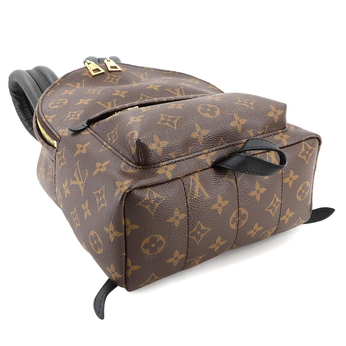 Monogram Palm Springs Backpack PM Leather Brown M44871